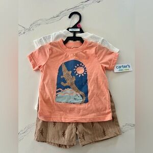 Carter's Orange and White Graphic Tee Set 18M